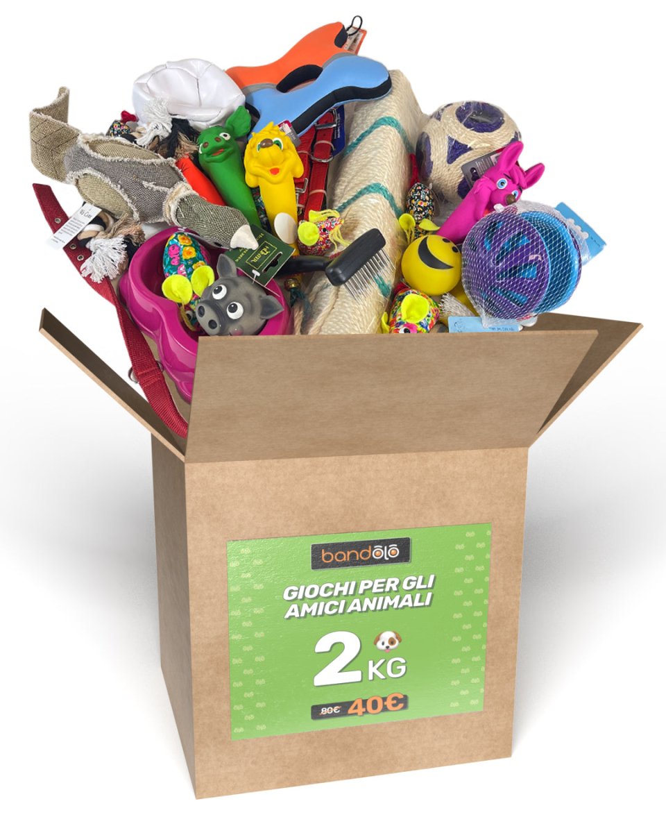 MISTERY BOX 2KG - GIOCHI PER GLI AMICI ANIMALI🐕 - Bandolo